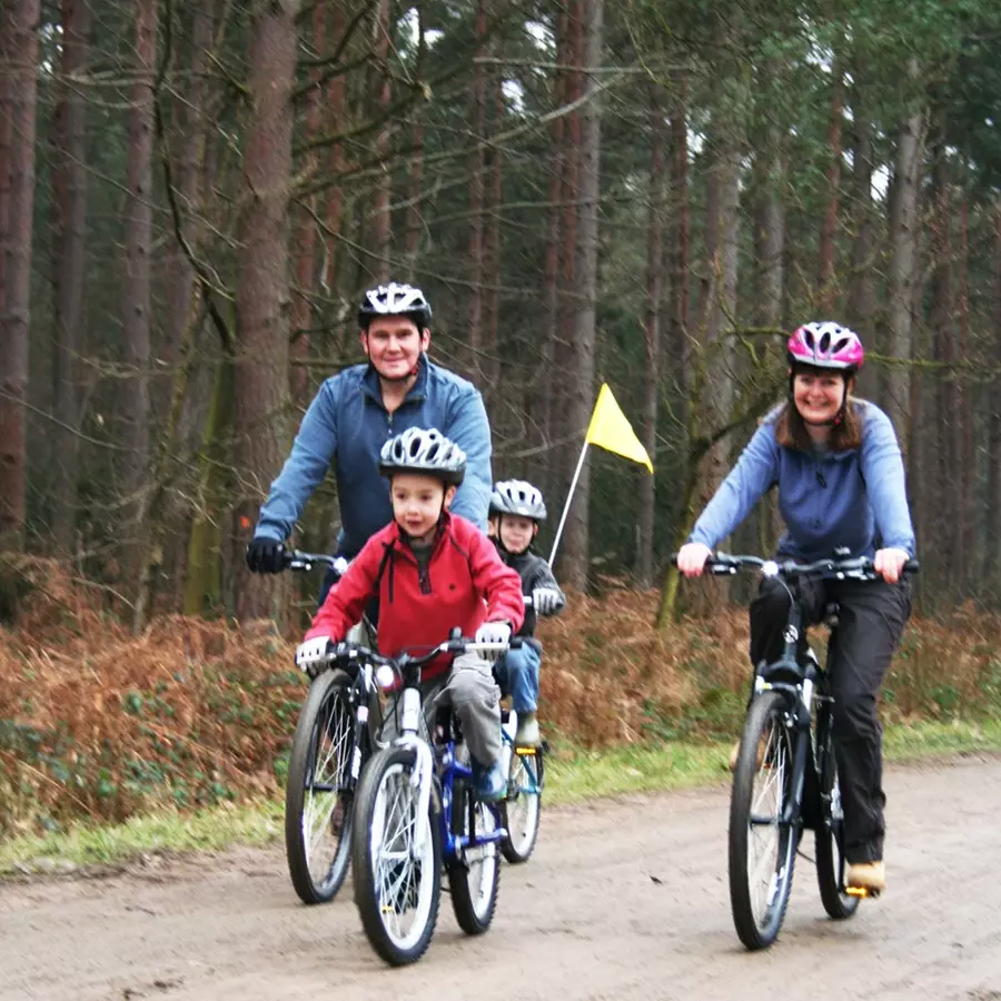 Bedgebury Pinetum 1000X1000